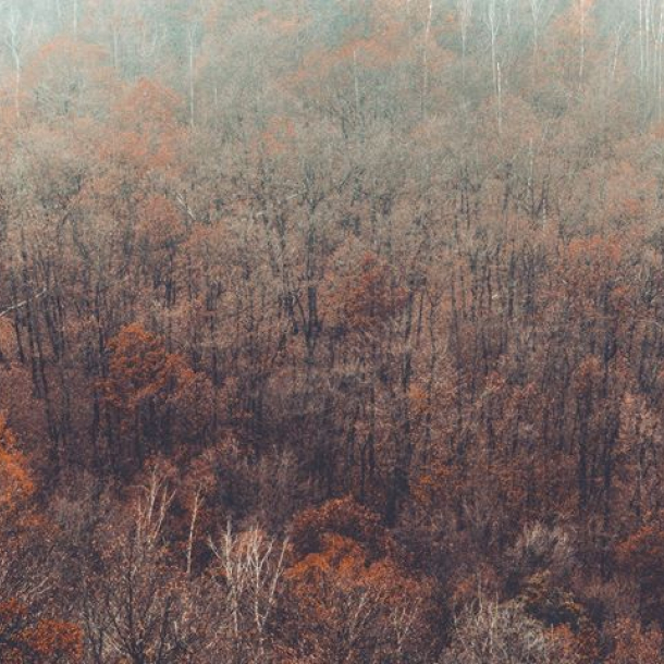 Výstava Obrazy Roztok - fotografie Attily Zinčaka