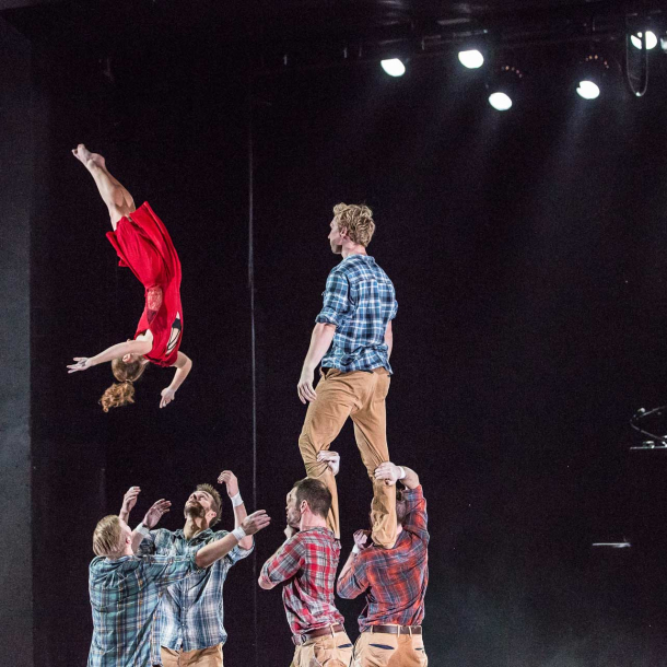 Losers Cirque Company The Loser(s)